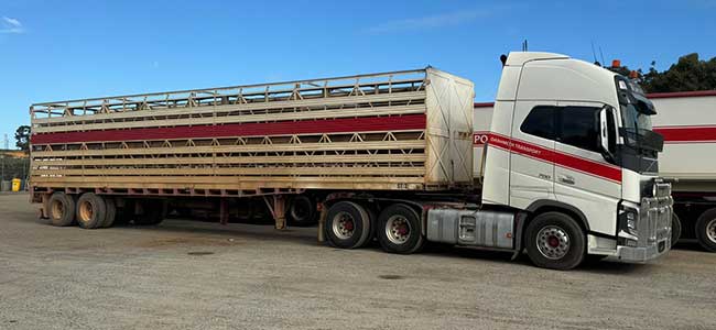 live-stock-transport